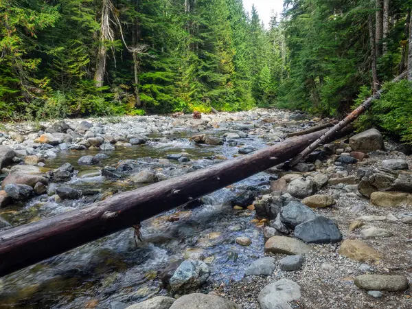 Франклін Фоллс Англ Franklin Falls Водоспад Південному Березі Річки Сноквальмі — стокове фото