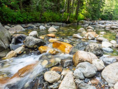 Franklin Şelalesi, Snoqualmie Nehri 'nin güney çatalında, South Fork Snoqualmie Nehri üzerindeki üç büyük şelaleden ilki olan bir şelaledir. Şelale, Amerika Birleşik Devletleri 'nin başkenti Washington' daki King County 'de Snoqualmie Geçidi yakınlarında yer almaktadır.