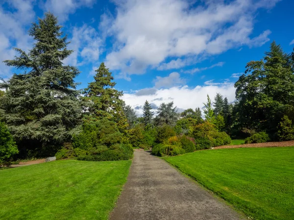 Kubota Garden Ist Ein 000 Hoher Japanischer Garten Stadtteil Rainier — Stockfoto