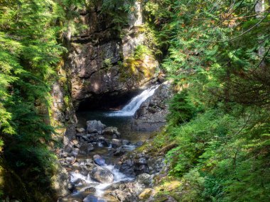 Franklin Şelalesi, Snoqualmie Nehri 'nin güney çatalında, South Fork Snoqualmie Nehri üzerindeki üç büyük şelaleden ilki olan bir şelaledir. Şelale, Amerika Birleşik Devletleri 'nin başkenti Washington' daki King County 'de Snoqualmie Geçidi yakınlarında yer almaktadır.