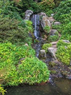 Kubota Garden, Washington, Seattle 'da bulunan Rainier Beach' te 81.000 metrekarelik bir Japon bahçesidir. Kubota Bahçesi 'nin başlıca özellikleri Kubota Terası, Bambu Korusu, Göletlerin Kolyesi, Dağ Yamacıdır., 