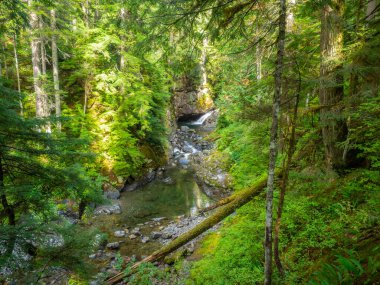 Franklin Şelalesi, Snoqualmie Nehri 'nin güney çatalında, South Fork Snoqualmie Nehri üzerindeki üç büyük şelaleden ilki olan bir şelaledir. Şelale, Amerika Birleşik Devletleri 'nin başkenti Washington' daki King County 'de Snoqualmie Geçidi yakınlarında yer almaktadır.