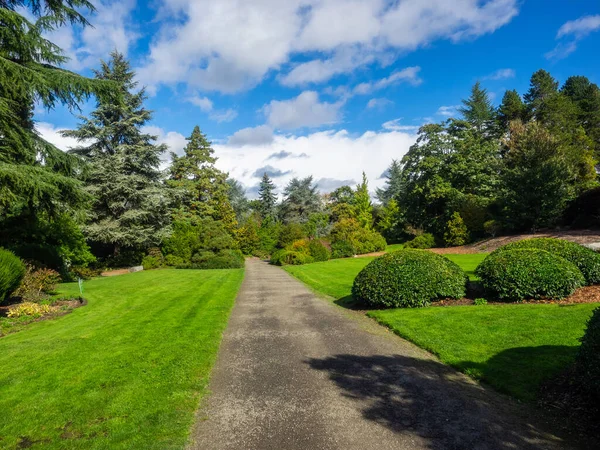 Kubota Garden Ist Ein 000 Hoher Japanischer Garten Stadtteil Rainier — Stockfoto