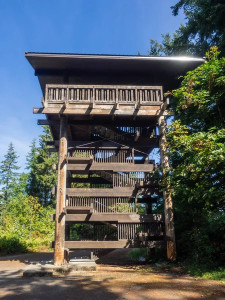 Sehome Hill Arboretum 180 Acre Hectare Park Second Growth Forest — Stock Photo, Image