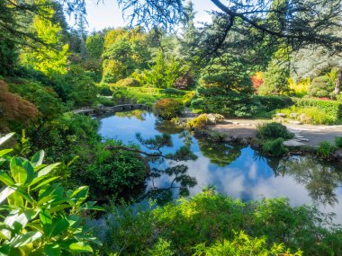 Kubota Garden, Washington, Seattle 'da bulunan Rainier Beach' te 81.000 metrekarelik bir Japon bahçesidir. Kubota Bahçesi 'nin başlıca özellikleri Kubota Terası, Bambu Korusu, Göletlerin Kolyesi, Dağ Yamacıdır.,