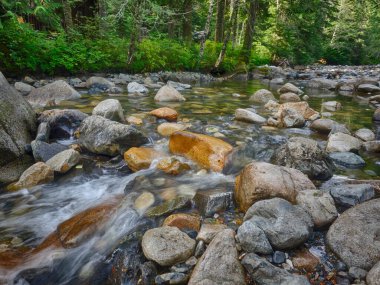 Franklin Şelalesi, Snoqualmie Nehri 'nin güney çatalında, South Fork Snoqualmie Nehri üzerindeki üç büyük şelaleden ilki olan bir şelaledir. Şelale, Amerika Birleşik Devletleri 'nin başkenti Washington' daki King County 'de Snoqualmie Geçidi yakınlarında yer almaktadır.