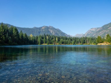 Gold Creek Pond Loop, Washington, Snoqualmie Geçidi yakınlarında bulunan ve tüm beceri seviyeleri için uygun olan 1,2 millik yoğun bir döngü yoludur. İzler bir dizi etkinlik seçeneği sunuyor ve yıl boyunca ulaşılabilir. Köpekler de öyle.