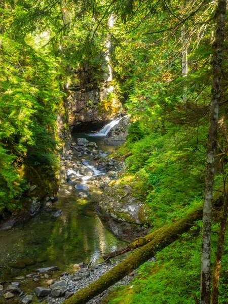 Franklin Falls Ett Vattenfall Södra Gaffeln Floden Snoqualmie Den Första — Stockfoto