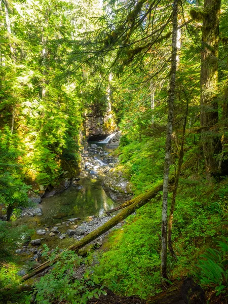 Franklin Falls Ett Vattenfall Södra Gaffeln Floden Snoqualmie Den Första — Stockfoto