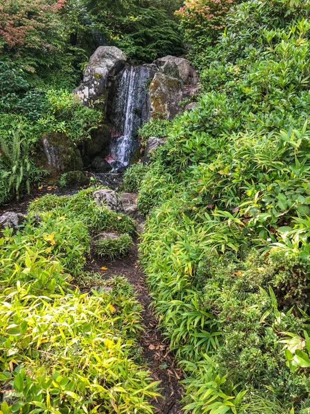 Kubota Garden Jardim Japonês 000 Bairro Rainier Beach Seattle Washington — Fotografia de Stock