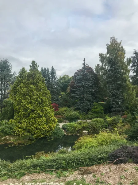 Kubota Garden Hektar Stor 81000 Japansk Trädgård Rainier Beach Seattle — Stockfoto