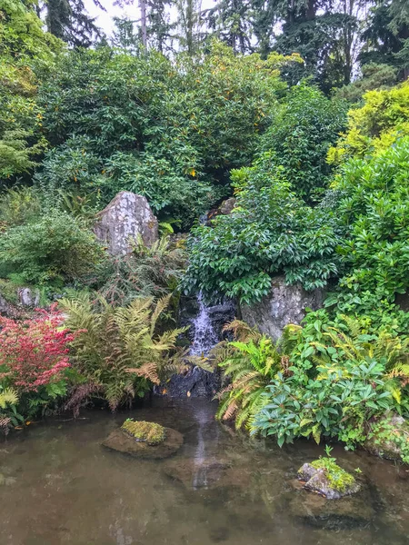 Kubota Garden Jardim Japonês 000 Bairro Rainier Beach Seattle Washington — Fotografia de Stock