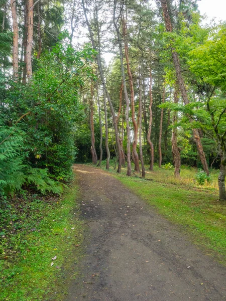 Kubota Garden Giardino Giapponese 000 Situato Nel Quartiere Rainier Beach — Foto Stock