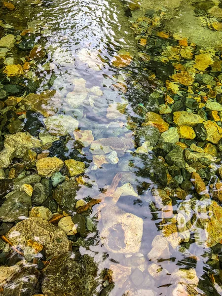 Denny Creek Sporet Ekstremt Populært Med God Grunn Naturlig Vannskred – stockfoto