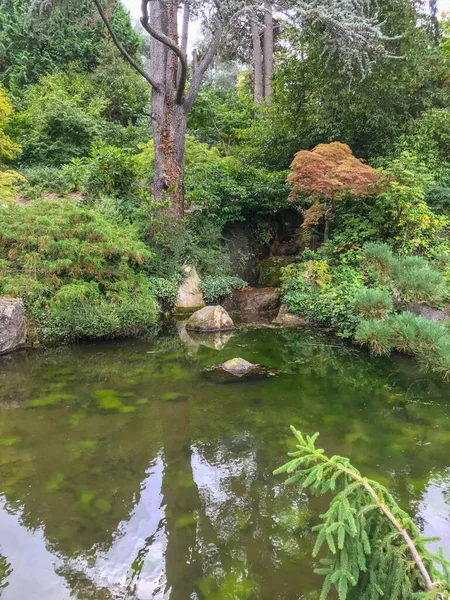 库博塔花园 Kubota Garden 是一个占地20英亩 000米 的日本花园 位于华盛顿州西雅图的Rainier海滩社区 库博塔花园的主要特色包括库博塔露台 池塘项链 — 图库照片