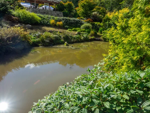 Kubota Garden Hektar Stor 81000 Japansk Trädgård Rainier Beach Seattle — Stockfoto