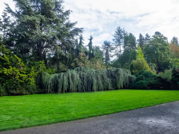 Kubota Garden Ist Ein 000 Hoher Japanischer Garten Stadtteil Rainier — Stockfoto