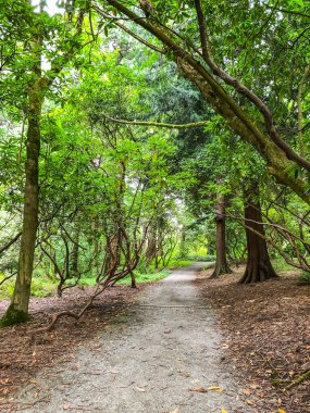 Washington Park, Seattle, Washington, ABD 'de bulunan ve Washington Üniversitesi, Seattle Parks and Recreation ve kar amacı gütmeyen Botanik Vakfı' nın ortak projesi olan Washington Park botanik bahçesi tarafından işletilen bir parktır.