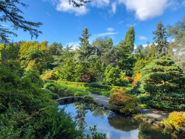 Kubota Garden, Washington, Seattle 'da bulunan Rainier Beach' te 81.000 metrekarelik bir Japon bahçesidir. Kubota Bahçesi 'nin başlıca özellikleri Kubota Terası, Bambu Korusu, Göletlerin Kolyesi, Dağ Yamacıdır., 