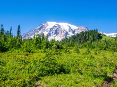Cennet, ulusal parktaki Rainier Dağı 'nın güney yamacındaki yaklaşık 1.600 metre yüksekliğindeki bir bölgenin adıdır. Cennet Rainier Dağı Ulusal Parkı ziyaretçileri için en popüler yerdir..