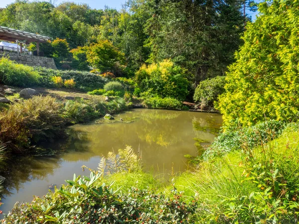 Kubota Garden Ist Ein 000 Hoher Japanischer Garten Stadtteil Rainier — Stockfoto