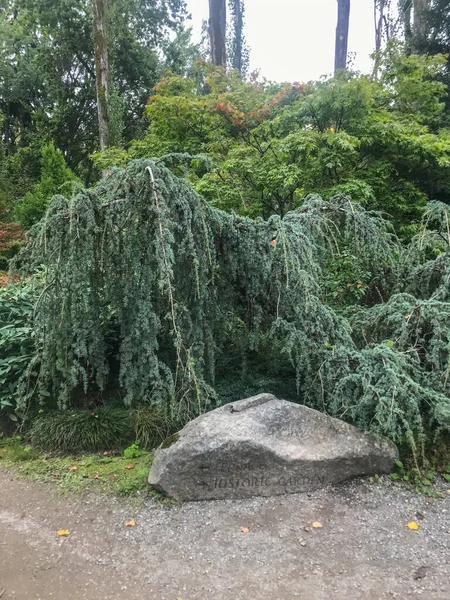 Kubota Garden Jardín Japonés 000 Acres Barrio Rainier Beach Seattle — Foto de Stock