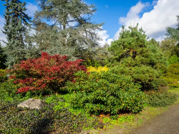 Kubota Garden Akr 000 Japonská Zahrada Rainier Beach Sousedství Seattlu — Stock fotografie