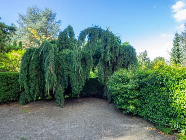 Kubota Garden Jardín Japonés 000 Acres Barrio Rainier Beach Seattle — Foto de Stock