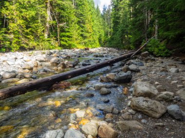 Franklin Şelalesi, Snoqualmie Nehri 'nin güney çatalında, South Fork Snoqualmie Nehri üzerindeki üç büyük şelaleden ilki olan bir şelaledir. Şelale, Amerika Birleşik Devletleri 'nin başkenti Washington' daki King County 'de Snoqualmie Geçidi yakınlarında yer almaktadır.