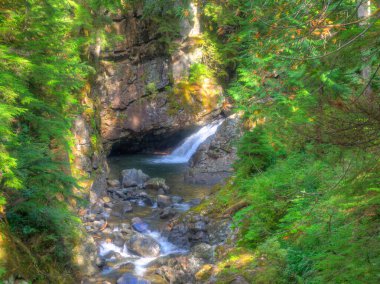Franklin Şelalesi, Snoqualmie Nehri 'nin güney çatalında, South Fork Snoqualmie Nehri üzerindeki üç büyük şelaleden ilki olan bir şelaledir. Şelale, Amerika Birleşik Devletleri 'nin başkenti Washington' daki King County 'de Snoqualmie Geçidi yakınlarında yer almaktadır.