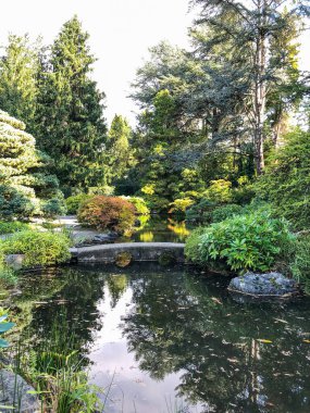 Kubota Garden, Washington, Seattle 'da bulunan Rainier Beach' te 81.000 metrekarelik bir Japon bahçesidir. Kubota Bahçesi 'nin başlıca özellikleri Kubota Terası, Bambu Korusu, Göletlerin Kolyesi, Dağ Yamacıdır., 