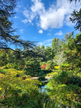 Kubota Garden, Washington, Seattle 'da bulunan Rainier Beach' te 81.000 metrekarelik bir Japon bahçesidir. Kubota Bahçesi 'nin başlıca özellikleri Kubota Terası, Bambu Korusu, Göletlerin Kolyesi, Dağ Yamacıdır., 