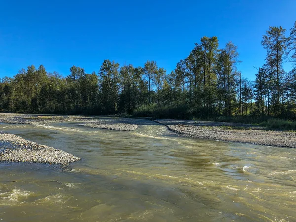 Tolt Macdonald Park Kamp Alanı Snoqualmie Tolt Nehirlerinin Birleştiği Snoqualmie — Stok fotoğraf