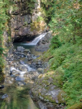 Franklin Şelalesi, Snoqualmie Nehri 'nin güney çatalında, South Fork Snoqualmie Nehri üzerindeki üç büyük şelaleden ilki olan bir şelaledir. Şelale, Amerika Birleşik Devletleri 'nin başkenti Washington' daki King County 'de Snoqualmie Geçidi yakınlarında yer almaktadır.