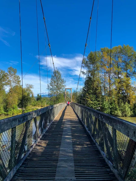 Tolt Macdonald Park Campground Trova Carnation Alla Confluenza Dei Fiumi — Foto Stock