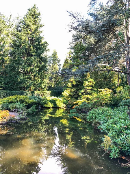 Kubota Garden Jardim Japonês 000 Bairro Rainier Beach Seattle Washington — Fotografia de Stock