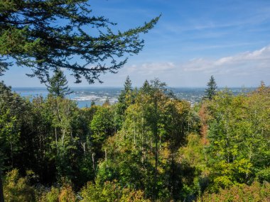 Sehome Hill botanik bahçesi, Batı Washington Üniversitesi 'nin kampüsünün bitişiğindeki tepede, ikinci büyüme ormanı olan 180 hektarlık bir parktır..