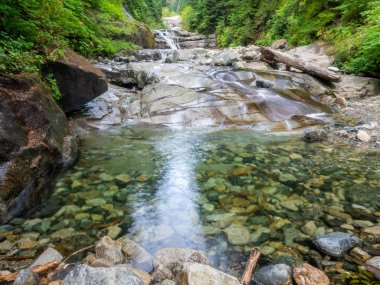 Denny Creek Patikası son derece popüler ve iyi bir nedeni var! Doğal bir su kaydırağı, iki büyük şelale, bir sürü eski orman ve harika manzaralı açık alanlar, ve güzel Alp Gölleri..