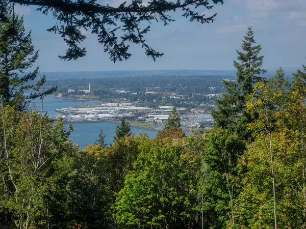 シーホーム ヒル樹木園 Sehome Hill Arboretum ワシントン大学西部のキャンパスに隣接する丘の上にある2番目の成長森林の180エーカー 73ヘクタール 公園である — ストック写真