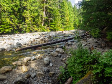 Franklin Şelalesi, Snoqualmie Nehri 'nin güney çatalında, South Fork Snoqualmie Nehri üzerindeki üç büyük şelaleden ilki olan bir şelaledir. Şelale, Amerika Birleşik Devletleri 'nin başkenti Washington' daki King County 'de Snoqualmie Geçidi yakınlarında yer almaktadır.
