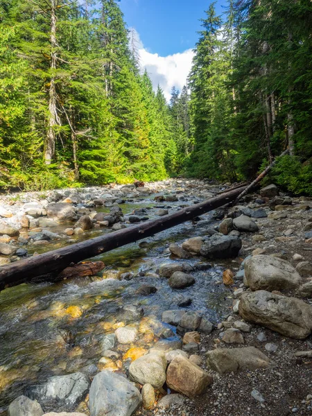 Franklin Falls Est Une Chute Eau Sur Fourche Sud Rivière — Photo