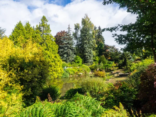 Kubota Garden Een Japanse Tuin Van 000 Wijk Rainier Beach — Stockfoto