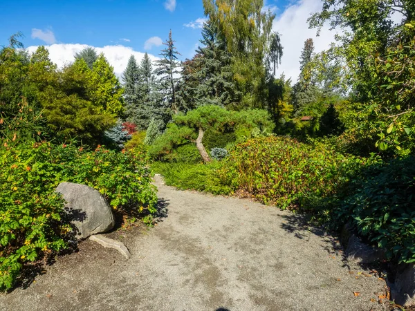 Kubota Garden Hektar Stor 81000 Japansk Trädgård Rainier Beach Seattle — Stockfoto