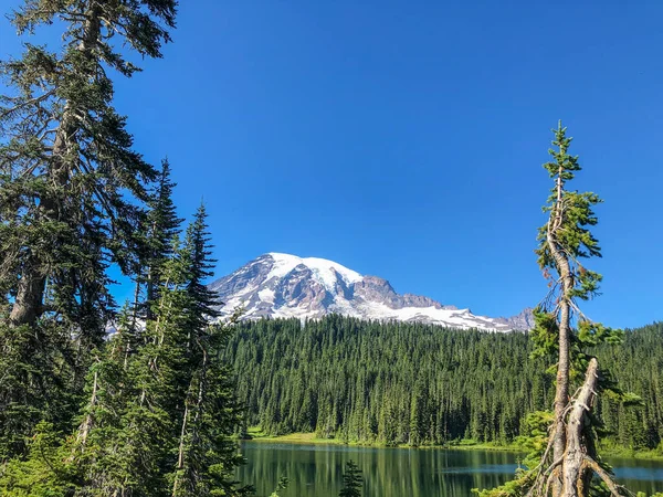 Parc National Mont Rainier Est Parc National Américain Situé Dans — Photo