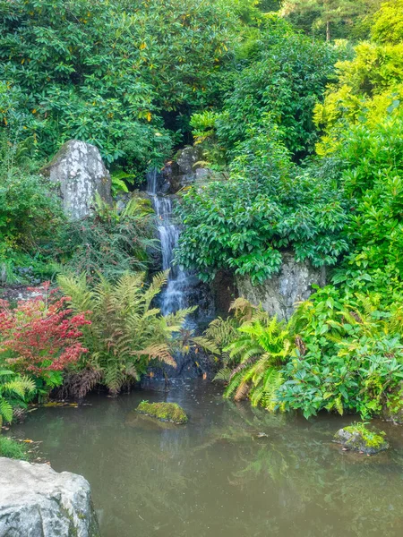 クボタ ガーデン 久保田ガーデン ワシントン州シアトルのレイニア ビーチ地区にある日本庭園 久保田ガーデンの主な特徴は クボタテラス 竹の森 池のネックレス マウンテンサイドなどです — ストック写真
