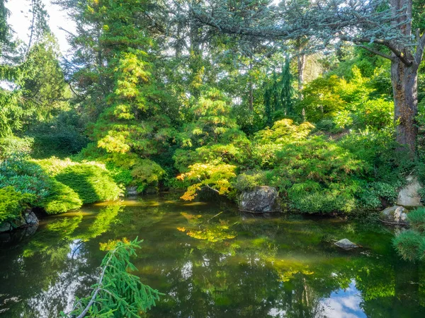 Kubota Garden Jardim Japonês 000 Bairro Rainier Beach Seattle Washington — Fotografia de Stock