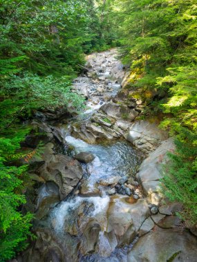 Franklin Şelalesi, Snoqualmie Nehri 'nin güney çatalında, South Fork Snoqualmie Nehri üzerindeki üç büyük şelaleden ilki olan bir şelaledir. Şelale, Amerika Birleşik Devletleri 'nin başkenti Washington' daki King County 'de Snoqualmie Geçidi yakınlarında yer almaktadır.