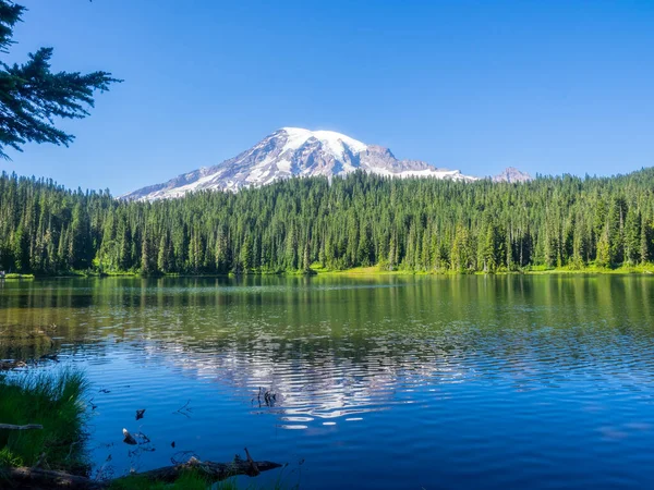 Uma Das Vistas Mais Emblemáticas Monte Rainier Parque Pode Ser — Fotografia de Stock