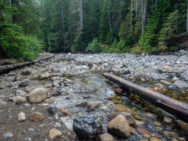 Франклін Фоллс Англ Franklin Falls Водоспад Південному Березі Річки Сноквальмі — стокове фото