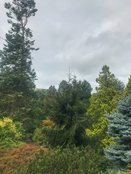 库博塔花园 Kubota Garden 是一个占地20英亩 000米 的日本花园 位于华盛顿州西雅图的Rainier海滩社区 库博塔花园的主要特色包括库博塔露台 池塘项链 — 图库照片